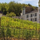 Clos Montmartre este o vie urbană pitorească ascunsă în spatele Sacré-Cœur. Printre rânduri ordonate cultivă peste 30 de soiuri de struguri, oferind un colț verde unic în Paris.