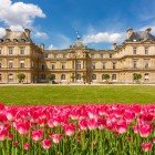 Grădinile Luxemburg din Paris încântă cu lalelele colorate care împodobesc aleile îngrijite și fântânile elegante, iar impunătorul palat oferă o atmosferă regală și romantică.
