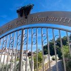 Vigne du Clos Montmartre, o vie istorică la poalele colinei, oferă rânduri ordonate și ciorchini copți. O oază verde urbană care îmbină natura, istoria și priveliști unice