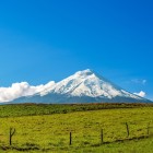 Impunătorul vulcan Cotopaxi, cu vârful acoperit de zăpadă, domină Ecuadorul printre câmpuri verzi și peisaje andine, fiind un simbol natural emblematic.
