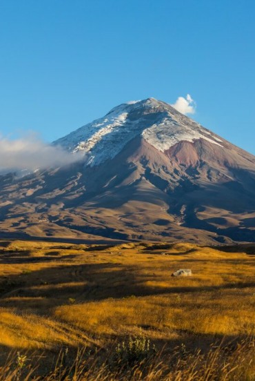 Vulcanul Cotopaxi, unul dintre cele mai înalte încă active din lume, se ridică cu vârful său înzăpezit deasupra Anzilor, simbol natural al Ecuadorului.