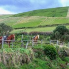 Peisaj magnific al Rezervației Ecologice Antisana din Ecuador, cu Anzii ridicându-se în fundal într-o zi senină de toamnă.