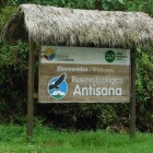 Mirador Virgen de los Guacamayos!! O potecă printre copaci uriași și o vegetație luxuriantă adăpostește sute de specii de animale.