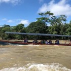 Un transfer pitoresc cu barca pe Rio Misahuallí, înconjurat de natura amazoniană, duce la debarcaderul La Punta din satul Puerto Misahuallí, Ecuador.