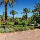Grădinile Menara din Marrakech încântă prin plante luxuriante, măslini seculari și pavilionul istoric pe fundalul bazinului.
