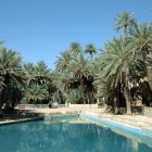 Apele albastre din Meski, printre palmieri și oaze în deșertul marocan, oferă un peisaj unic, proaspăt și nealterat, în mijlocul naturii.