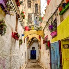 O alee din Mellah din Fès încântă prin ziduri colorate și plante suspendate, oferind o atmosferă autentică și perspective fotografice unice.