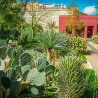 În Grădina Secretă din Marrakech, plantele luxuriantă și diversele plante suculente creează o oază verde și armonioasă în medina istorică.