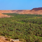 Privită de sus, pădurea de palmieri din Valea Ziz se arată în toată întinderea sa, printre oaze verzi și peisaje captivante în deșertul marocan.