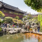 În Grădina Mandarinului Yu, iazuri liniștite, poduri vechi și carpi koi creează o oază de liniște și frumusețe în tradiția chineză.