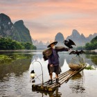 Pescar pe râul Li din Guilin cu cormorani dresați, o tradiție milenară care combină îndemânare, natură și peisaje carstice unice.