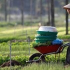 Un fermier vietnamez transportă legume proaspăt culese, printre câmpuri verzi și mirosuri de ierburi, simbol al vieții rurale autentice.