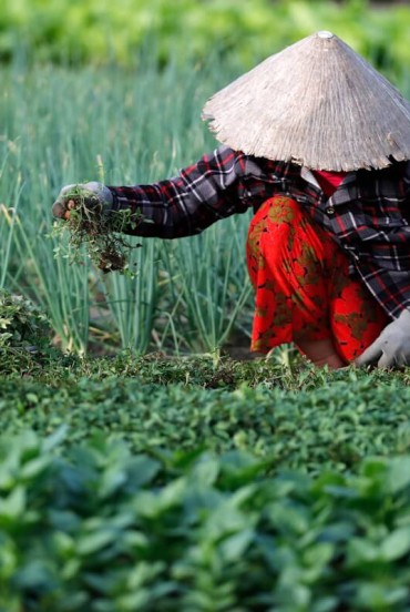 Satul Tra Que, satul Cam Thanh