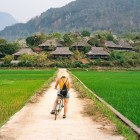Plantațiile de orez din Vietnam se întind printre văi și terenuri inundate, creând un mozaic de verde intens și evidențiind importanța agricolă a țării.