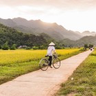 Un câmp de orez lângă satul Lac din valea Mai Châu se întinde printre dealuri verzi, reflectând tradiția agricolă și viața rurală din Vietnam.