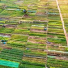 Tra Que încântă cu câmpuri verzi și culturi artizanale, unde localnicii cultivă ierburi și legume urmând tehnici transmise din generație în generație.