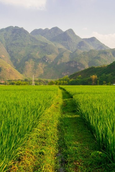 Satele Cha Long și Na Tang
