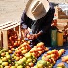 Un vânzător de mango și fructe din piața din San Cristóbal de Las Casas expune coșuri pline de culori și arome tropicale, oferind produse proaspete și reflectând autenticitatea vieții locale.