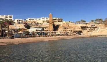 Sharks Bay Oasis Apartment