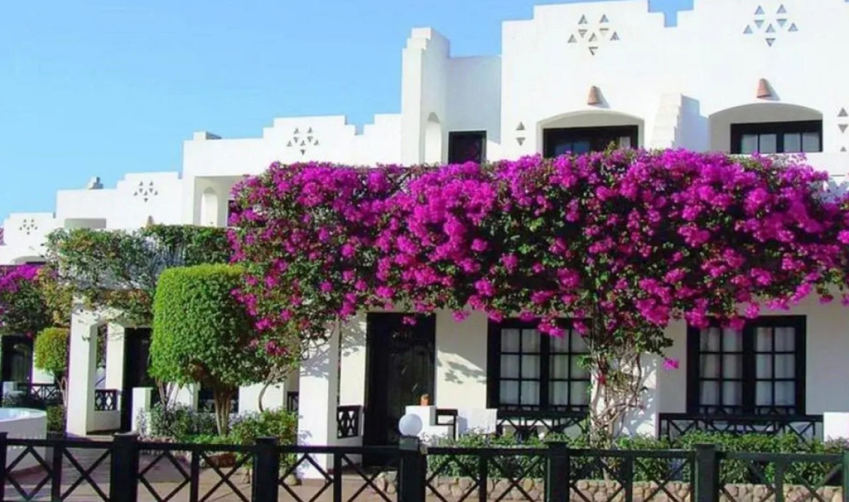 Verginia Sharm Resort & Aqua Park - Immagine 1