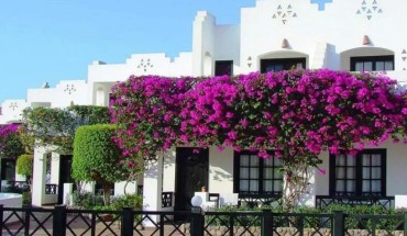 Verginia Sharm Resort & Aqua Park
