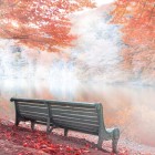 Bancă pe malul Lacului Parz din Dilijan, înconjurată de culori calde de toamnă. Un loc fermecător în natură, ideal pentru relaxare și momente de liniște deplină.