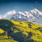 Pajiști alpine pline de culoare se întind la poalele Tetnuldi. Lumina dimineții mângâie Svanetiul de Sus și conturează delicat profilul Caucazului.