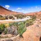 Panoramă asupra Văii Ziz din Maroc, cu palmieri, oaze verzi și Munții Atlasului Înalt care creează unul dintre cele mai fascinante peisaje din Africa de Nord.