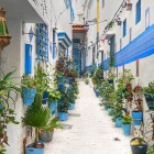 Printre alei albe, detalii albastre și plante colorate, străduțele din Tangier dezvăluie farmecul autentic al medinei marocane.