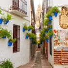 Faimoasa Calleja de las Flores încântă prin zidurile albe, ghivecele pline de flori și turnul-clopotniță al Mezquitei în fundal. Unul dintre cele mai emblematice locuri din Córdoba.