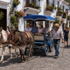 Celebrul taxi cu măgăruși din Mijas străbate străzile satului printre case albe și balcoane cu flori, păstrând vie o tradiție emblematică pentru Costa del Sol.