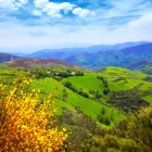 Văile verzi din jurul satului O Cebreiro oferă panorame spectaculoase cu munți, păduri și flori de primăvară de-a lungul Camino de Santiago.