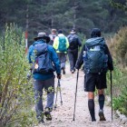 Pelerinii străbat pădurile din Foncebadón spre Cruz de Ferro, unul dintre cele mai simbolice locuri de pe Camino de Santiago, în mijlocul naturii și al spiritualității.