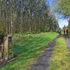 O potecă liniștită prin pădurile Galiciei îi însoțește pe pelerini pe Camino de Santiago, printre pajiști, eucalipți și natura nealterată.