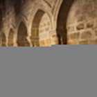 Claustrul romanic al Catedralei din Plasencia impresionează prin arcadele semicirculare, coloanele masive din piatră și capitelurile sculptate, mărturie valoroasă a artei medievale.