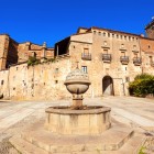 Plaza de San Vicente Ferrer găzduiește renascentistul Palat Mirabel, fosta reședință a familiei Zúñiga. Fântâna din piatră și clădirile nobiliare păstrează farmecul Plasenciei medievale.