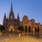 Pla de la Seu oferă una dintre cele mai impresionante priveliști din Cartierul Gotic: Catedrala Sfintei Cruci și a Sfintei Eulalia domină piața prin fațada neogotică, turlele și zidurile medievale.