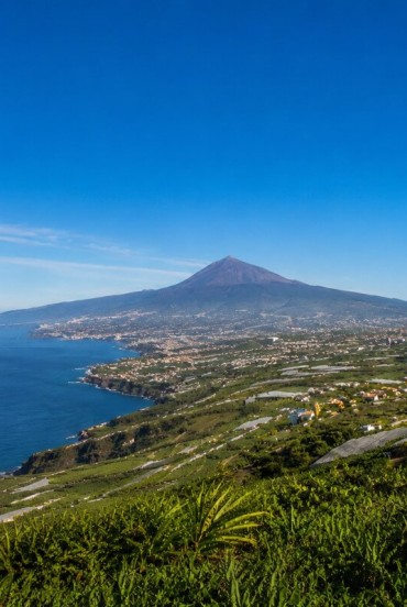 Fertila Vale Orotava coboară lin spre Oceanul Atlantic, printre palmieri, terenuri cultivate și sate canariene, dominată de silueta vulcanică inconfundabilă a Teide.