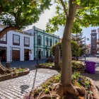 În înverzita Plaza de la Junta Suprema, bustul lui Alonso de Nava y Grimón evocă istoria Insulelor Canare, iar Turnul La Concepción încheie perspectiva de-a lungul străzii Calle San Agustín.