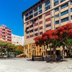 În inima orașului Santa Cruz de Tenerife, Plaza José Arozena Paredes întâmpină vizitatorii cu arbori flamboyant înfloriți și un arc original din lemn dedicat artistului Óscar Domínguez.