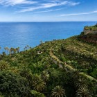 Palmierii canarieni și plantele suculente acoperă versanții vulcanici din apropiere de Los Gigantes, într-un peisaj subtropical care coboară spre albastrul Atlanticului.