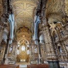 În interiorul Bisericii São Francisco, coloanele, altarele și pereții dispar sub spectaculoasele sculpturi din lemn aurit, iar bolțile gotice conduc privirea spre altar.