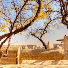 Printre copaci seculari și ziduri din cărămidă, vechile morminte ale Necropolei Chor Bakr evocă devoțiunea sufită și memoria familiilor religioase din Bukhara.