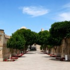 Raravi Daroz traversează necropola Bahauddin Naqshband printre copaci, nișe din cărămidă și morminte regale, conducând vizitatorii prin tăcerea memoriei.