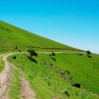 La ora 09:00, întâlnire cu șoferul și ghidul și plecare din Bukhara spre Samarkand, traversând peisajele rurale ale Uzbekistanului.