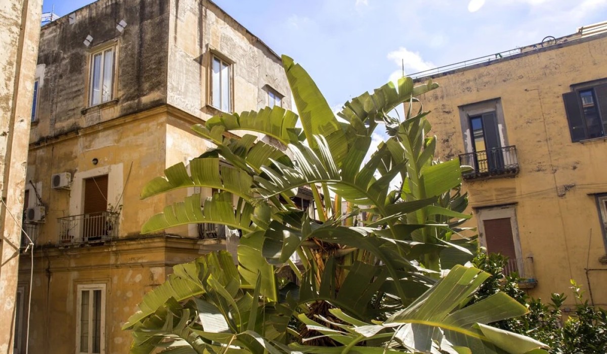 26 Urban Guest House - Immagine 2